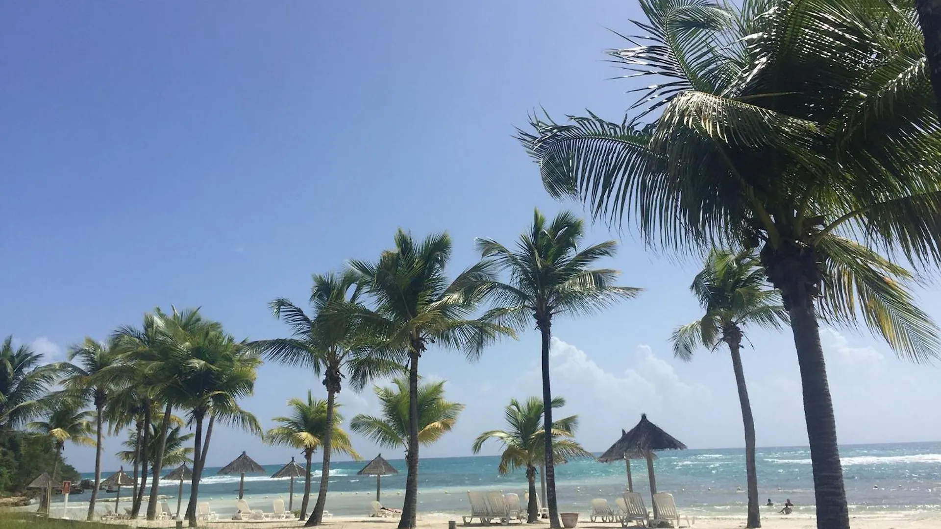 Studio Pleine Vue Mer, Plages, Piscines-4 Etoiles Sainte-Anne