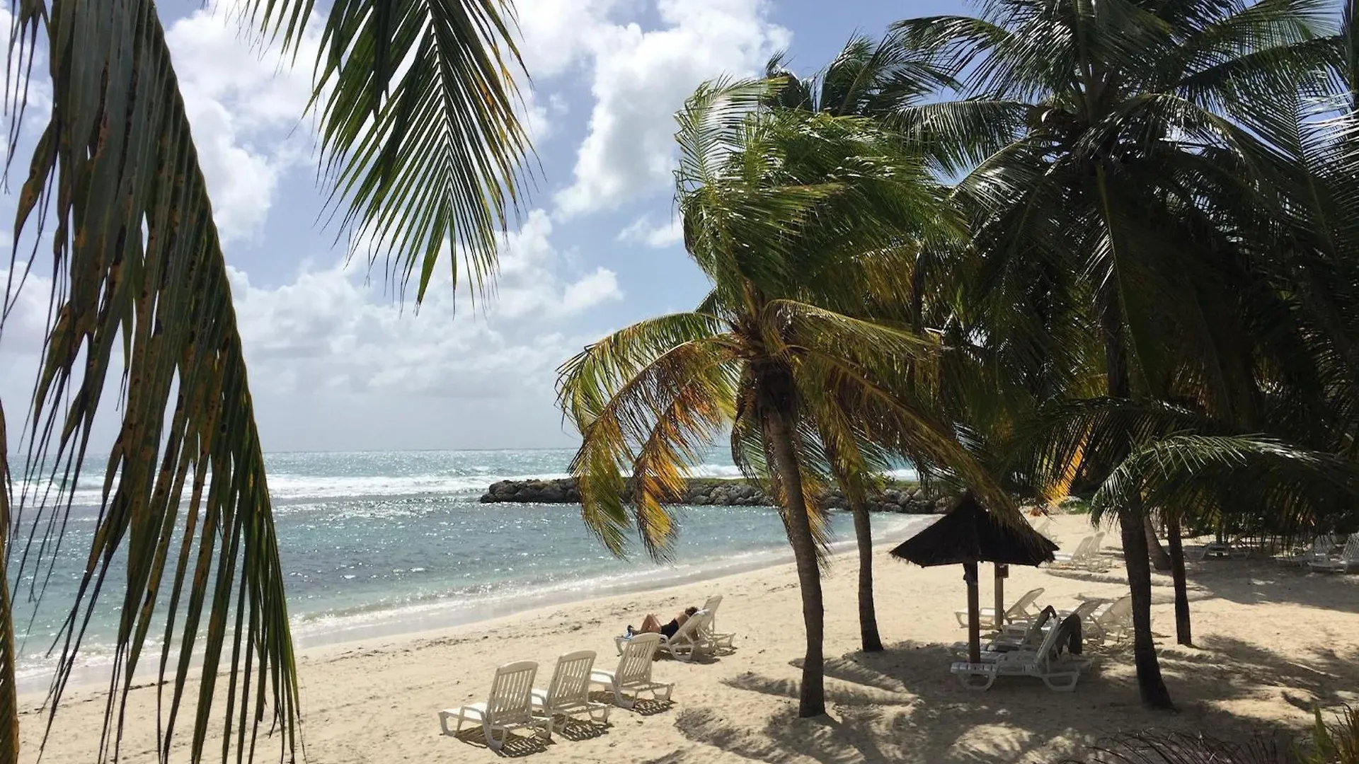 Apartment Studio Pleine Vue Mer, Plages, Piscines-4 Etoiles Sainte-Anne  Guadeloupe
