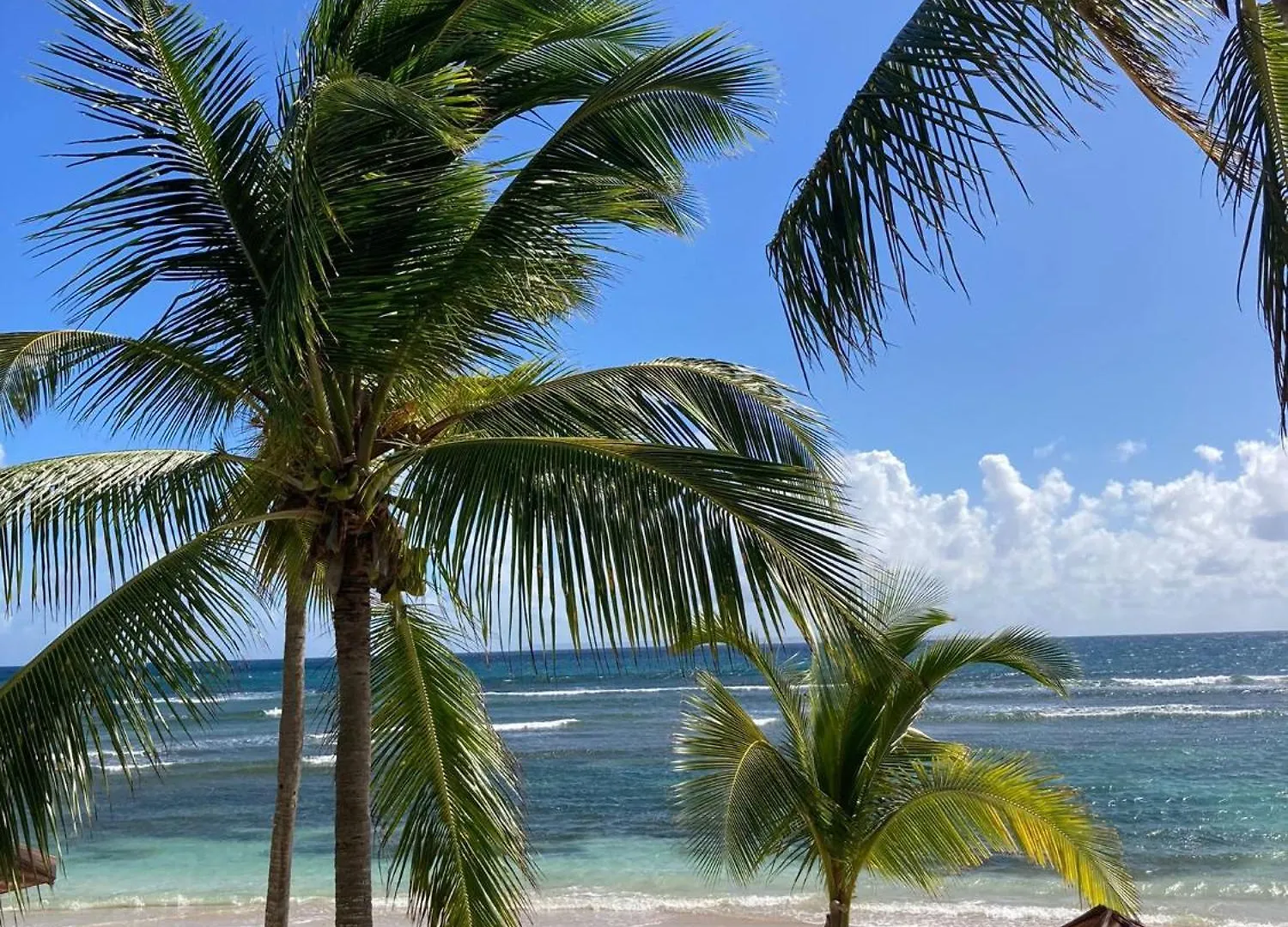 Studio Pleine Vue Mer, Plages, Piscines-4 Etoiles Sainte-Anne  Sainte-Anne (Grande-Terre)