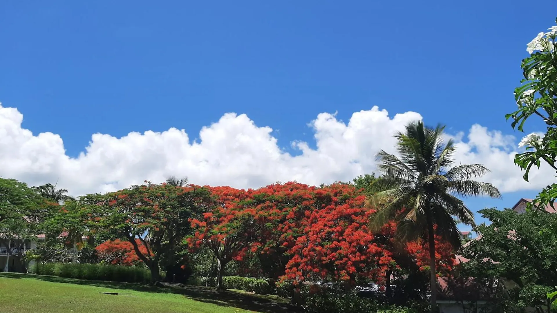 Studio Pleine Vue Mer, Plages, Piscines-4 Etoiles Sainte-Anne  0*, Sainte-Anne (Grande-Terre) Guadeloupe