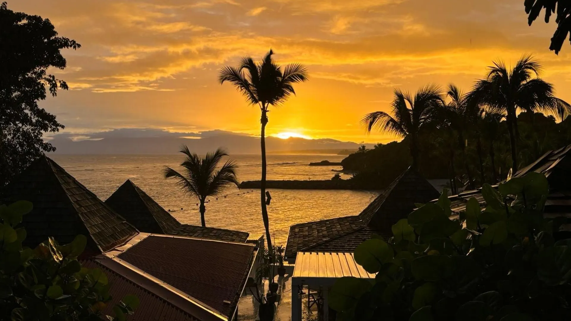 Apartment Studio Pleine Vue Mer, Plages, Piscines-4 Etoiles Sainte-Anne  Guadeloupe