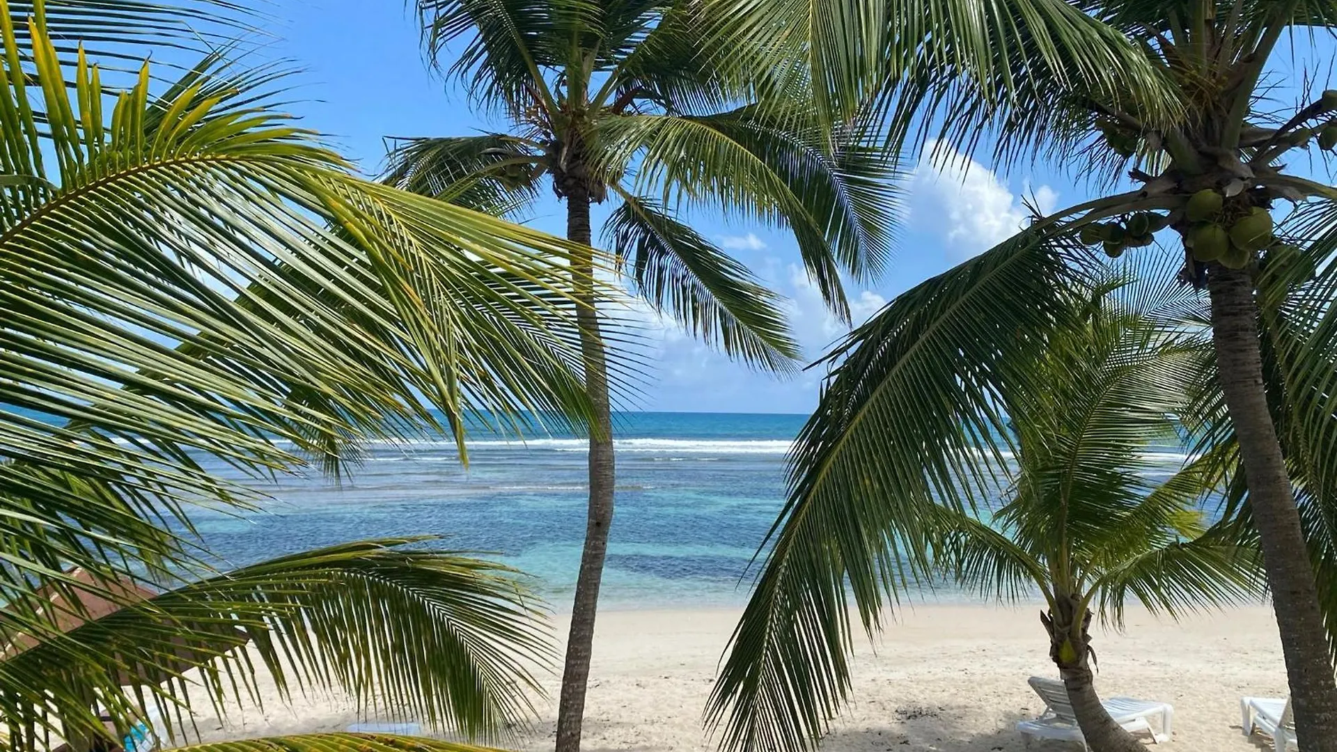 Studio Pleine Vue Mer, Plages, Piscines-4 Etoiles Sainte-Anne  0*, Sainte-Anne (Grande-Terre) Guadeloupe