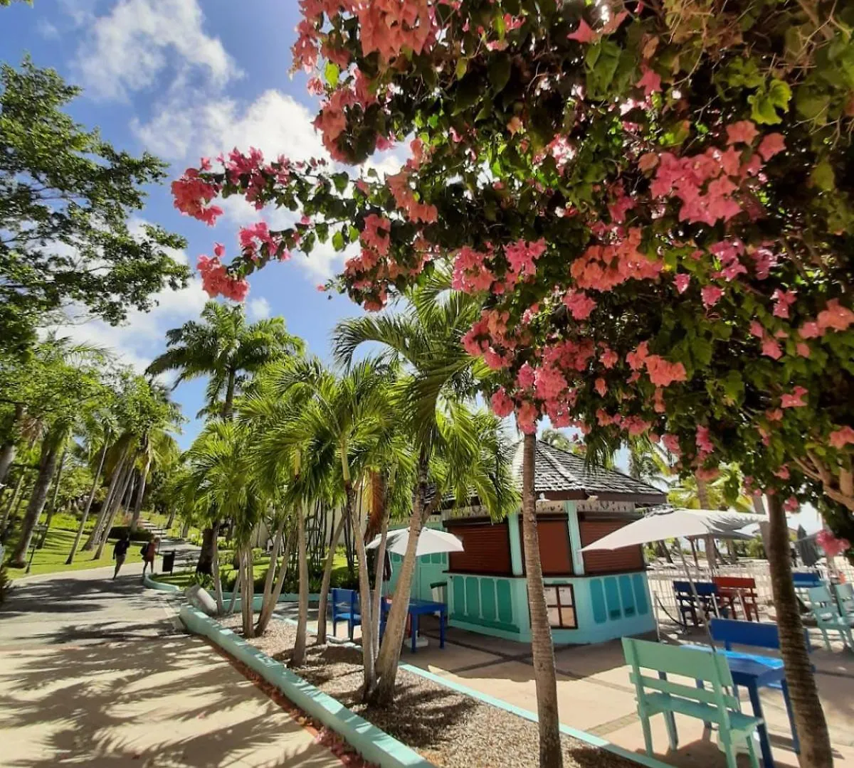 Studio Pleine Vue Mer, Plages, Piscines-4 Etoiles Sainte-Anne  Apartment Sainte-Anne (Grande-Terre)